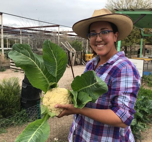 Cauliflower